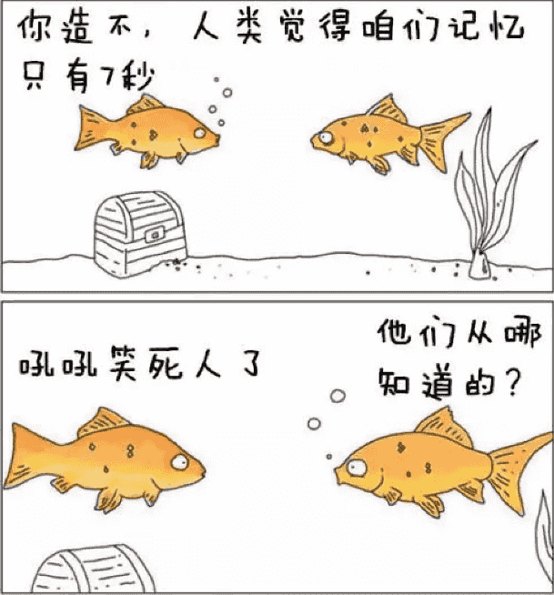 鱼的记忆只有七秒阅读短文答案_https://www.rmwj.cn_生活百科_第2张